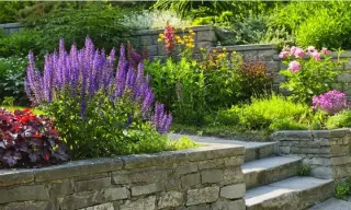Transforma tu jardín