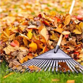 Transforma tu jardín