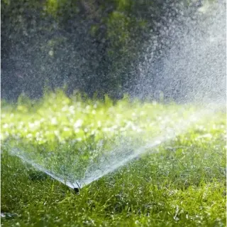Transforma tu jardín
