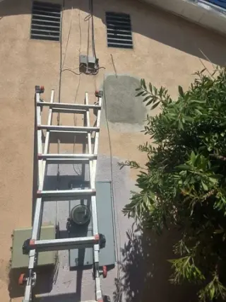 Henry’s Bees Removal Service