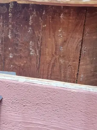 Henry’s Bees Removal Service