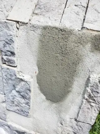Henry’s Bees Removal Service