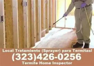 Termites Orange County 24/7