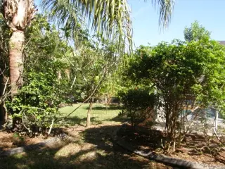 Propiedad en alquiler con 3 habitaciones y 2 baños en Cape Coral