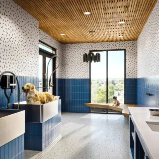 Propiedad en alquiler con 3 habitaciones y 2 baños en Austin
