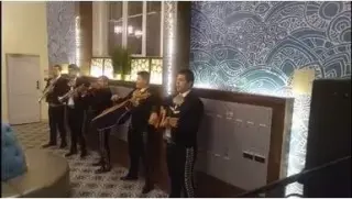 Mariachi real tapatio