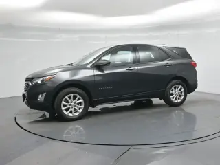Chevrolet Equinox 2019 4x4 LS 4dr SUV w/1LS