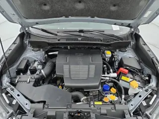 Subaru Forester 2023 AWD Wilderness 4dr Crossover