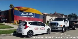 FUMIGACIONES LONCHERAS🌮TACOS.