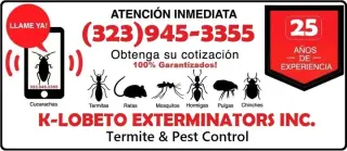 FUMIGACIONES LONCHERAS🌮TACOS.
