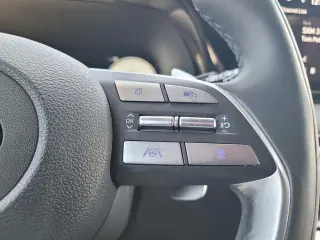 Hyundai PALISADE 2024 Calligraphy 4dr SUV