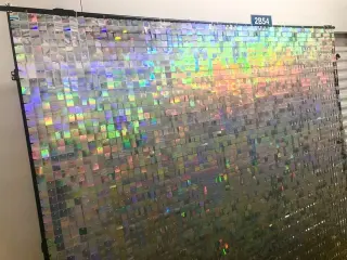 Shimmer Wall Para tu Evento ✨✨