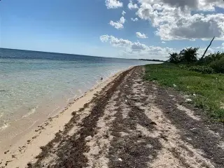 Terreno en venta Mahahual QR