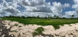 Terreno en venta Mahahual QR