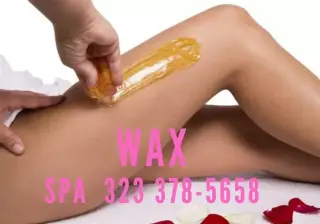 CURSO WAX CON  CERTIFICACION