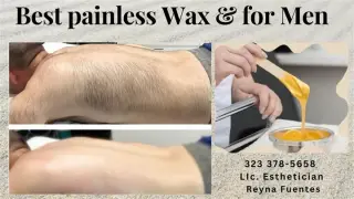CURSO WAX CON  CERTIFICACION