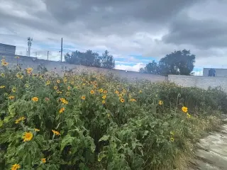 Terreno en venta Tizayuca Hgo