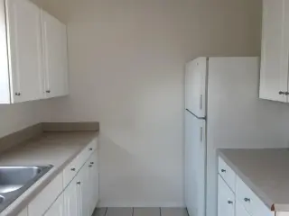 Cozy 1-Bedroom and 1-Bathroom