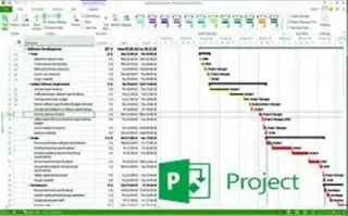 Dicto clases de Ms Project