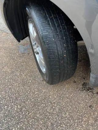 2013 Honda Pilot EX-L w/DVD