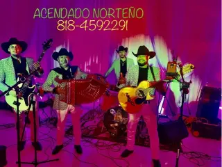 ACENDADO NORTEÑO