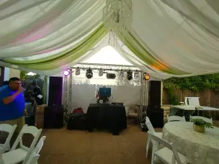 DJ PROFESIONAL $100