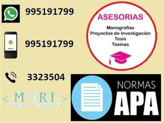 Desarrollo Tesis de Sistemas