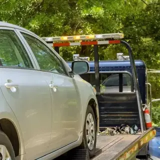 BIG DOG TOWING