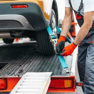 BIG DOG TOWING