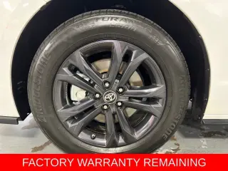 2025 Toyota Sienna XSE 7 Passenger