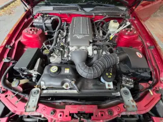 2007 Ford Mustang GT Premium