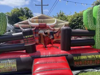 Bulls for rent 🐃