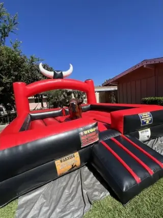Bulls for rent 🐃