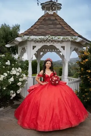 SPECIAL FOTOS+VIDEOS DESDE$950