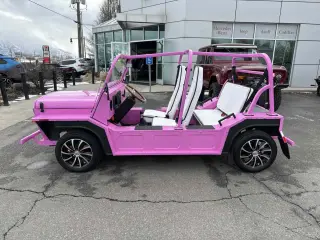 2022 Moke LSV 