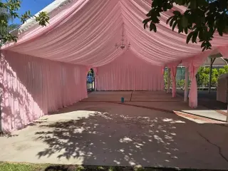 Bulls, tables, tents, draping