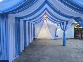 Bulls, tables, tents, draping
