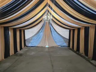 Bulls, tables, tents, draping