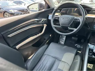 2019 Audi e-tron Prestige