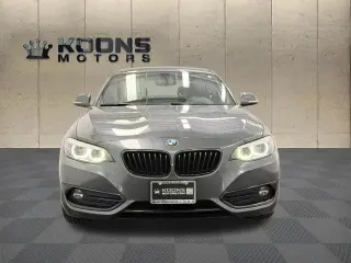 BMW 2 Series 2018 230i 2dr Coupe