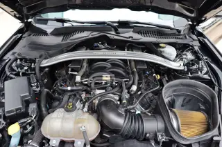 2019 Ford Mustang Bullitt