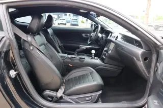 2019 Ford Mustang Bullitt