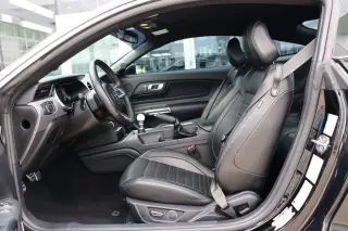 2019 Ford Mustang Bullitt