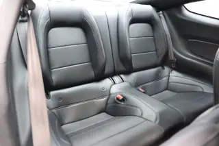 2019 Ford Mustang Bullitt