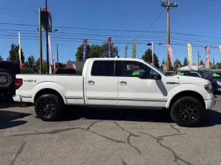 2010 Ford F-150 Platinum