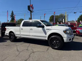 2010 Ford F-150 Platinum