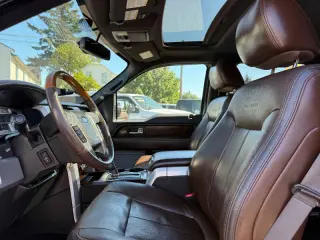 2010 Ford F-150 Platinum