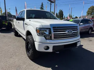 2010 Ford F-150 Platinum