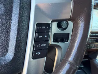 2010 Ford F-150 Platinum