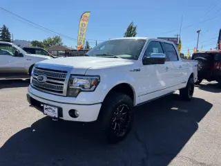 2010 Ford F-150 Platinum